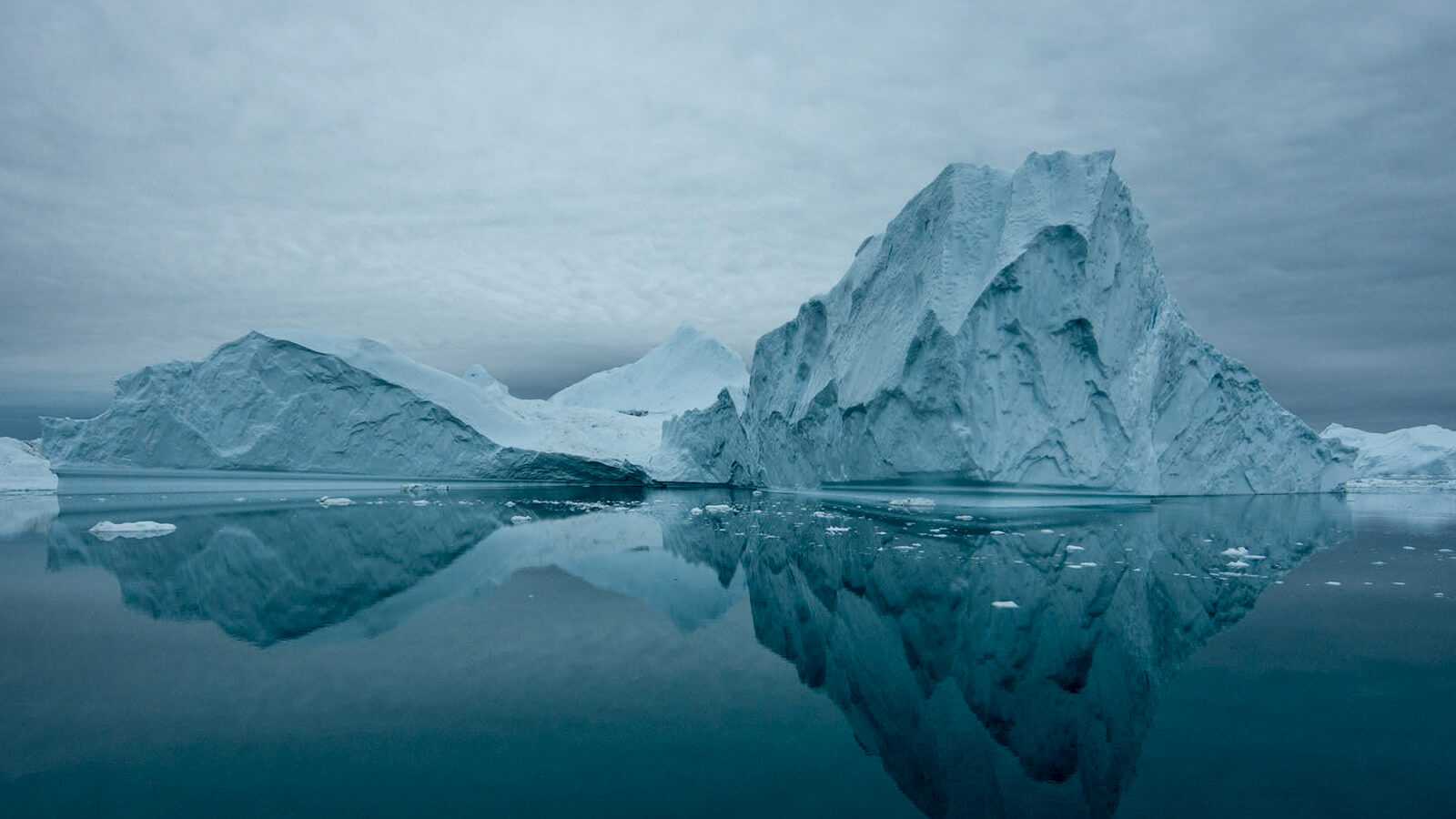 Wild Arctic – Montegrappa Japan