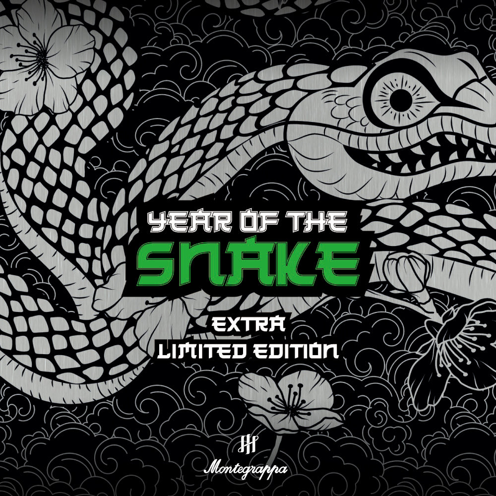 イヤーオブザスネーク 万年筆